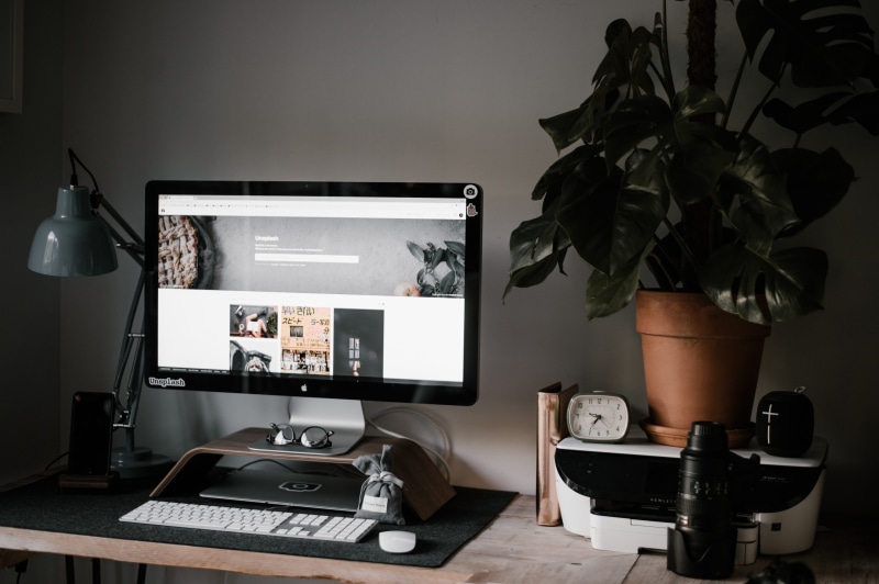 plant, apple, communication, turned, monitor, electric lamp, computer monitor, business, lighting equipment, domestic room, technology, table, beside, computer equipment