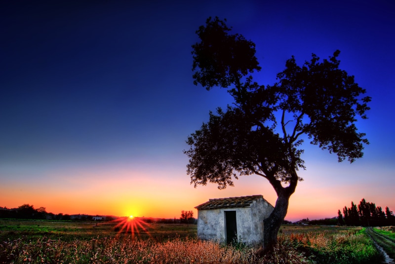 outdoors, sky, 4K, panorama, nikon d200, nature, High, sun, farm, manfrotto, house, agriculture, clear, Last Minute, firenze, beside, landscape, italy