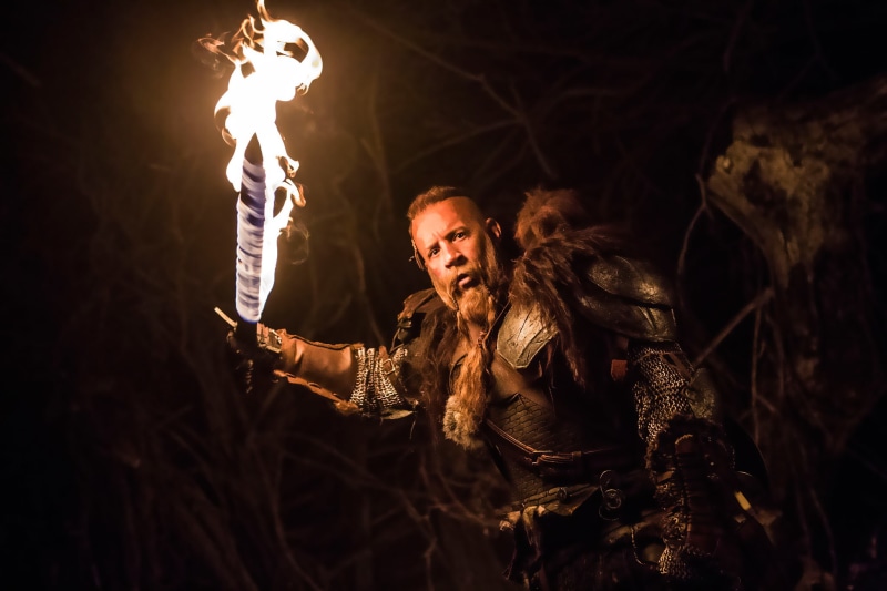 communication, sign, fear, fire, adult, warning sign, tree, night, one person, sword, 1080P, young women, burning, illuminated, mid adult, The Last Witch Hunter