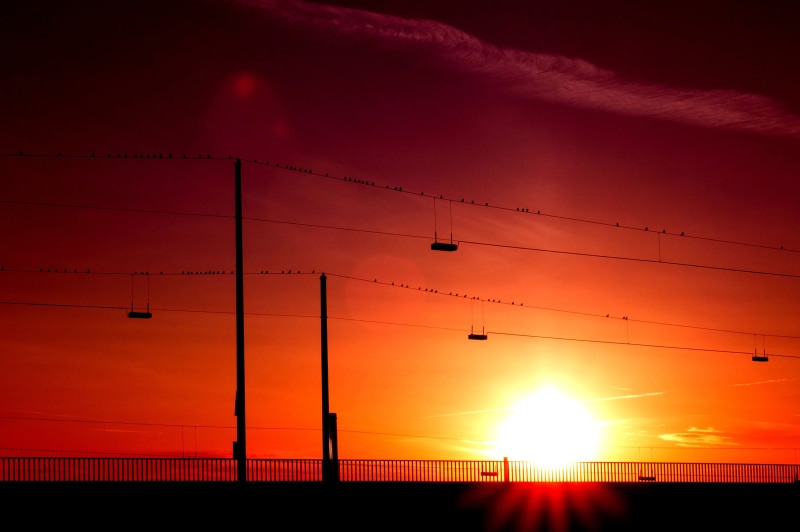 sky, power supply, dramatic sky, sunset, cable, silhouette, nature, low angle view, tranquility, birds, sun, beauty in nature, electricity, connection