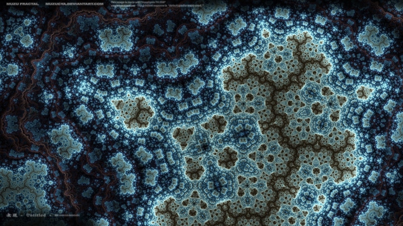 indoors, pattern, textured, no people, sea life, nature, blue, animal themes, day, growth, marine, backgrounds, floral pattern, microbiology, full frame