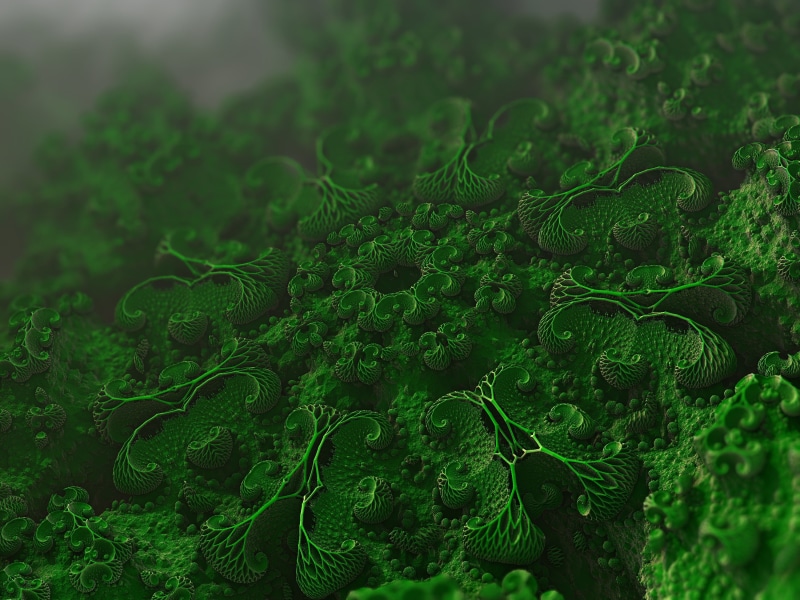 microbiology, microscopic, microorganisms, 2K, bacteria, cells