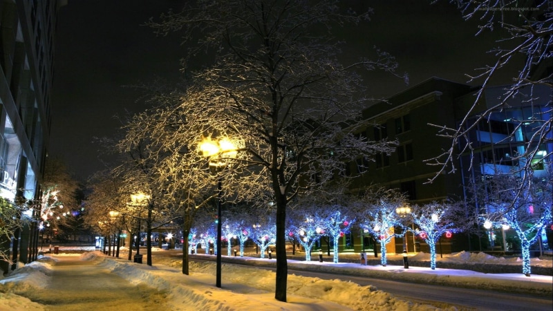 street, light, late, 1080P, nature and landscapes, winter, lights, city, christmas, trees, xmas, night