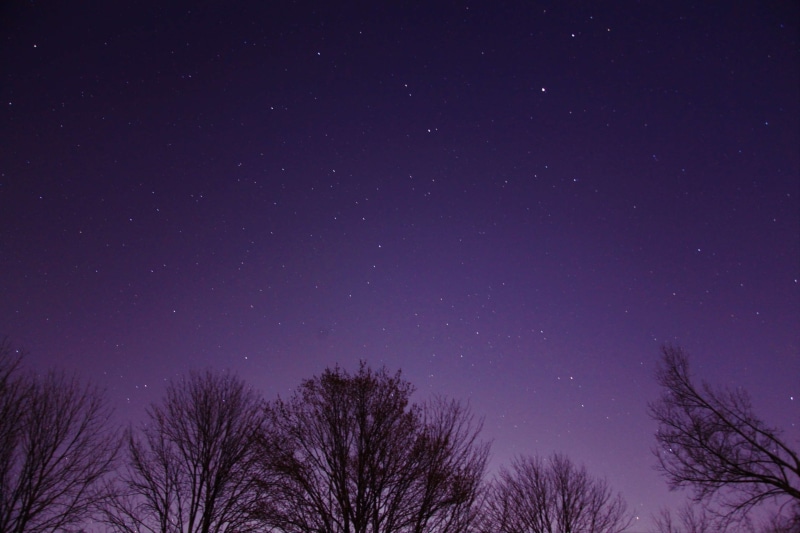 star, 4K, star field, beauty in nature, tree, scenics - nature, nature, idyllic, stars, late, no people, tranquility, plant, astronomy, low angle view