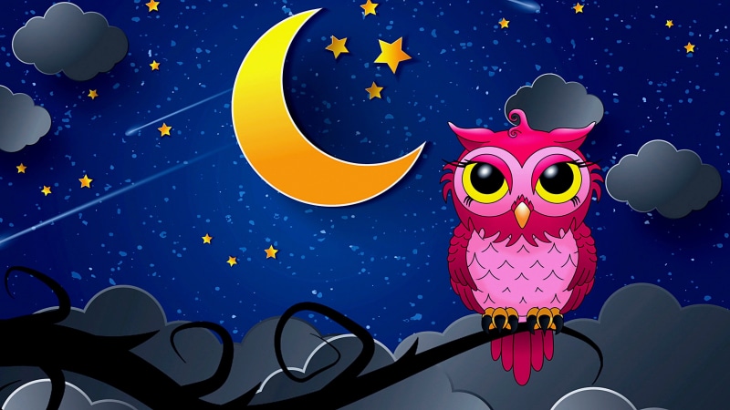 moon, cartoon, pink owl, blue, 4K, owl, bird, good night, night sky, illustration