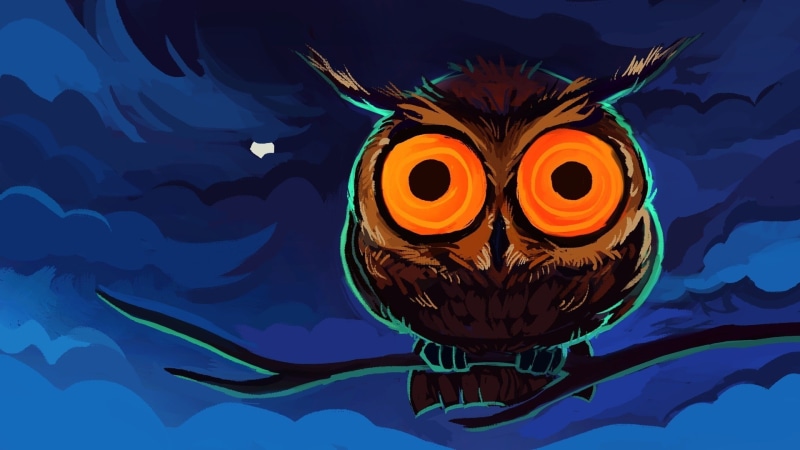 night, hd, x, artwork, art, animals, birds, eyes, owls, 1080P