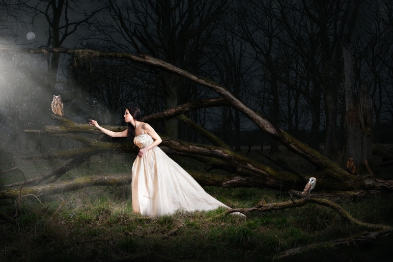 owls, girl, 1080P, the moon, night, forest