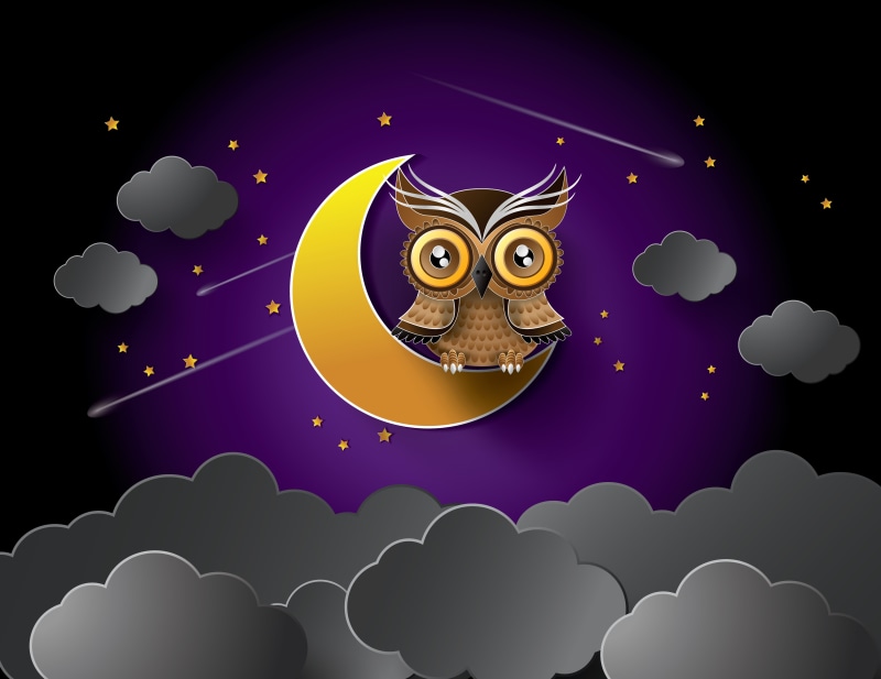 fantasy, sky, animal themes, evil, 4K, owl, halloween, symbol, shape, computer Graphic, space, vector, fun, nature, clouds, celebration, creativity, spooky