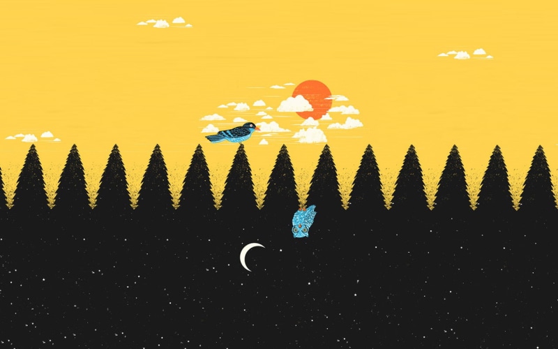 digital/artwork, hd, black, owl, abstract, yellow, bird, day, night, 720P
