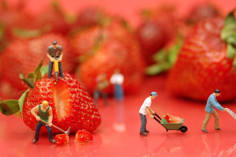 food, picture, cc, scale, ho, male, 2K, slicing, miniature, people, strawberry, shovel, good, fruit, Dudes, red, man, photo, setup, carrying, four, 5k