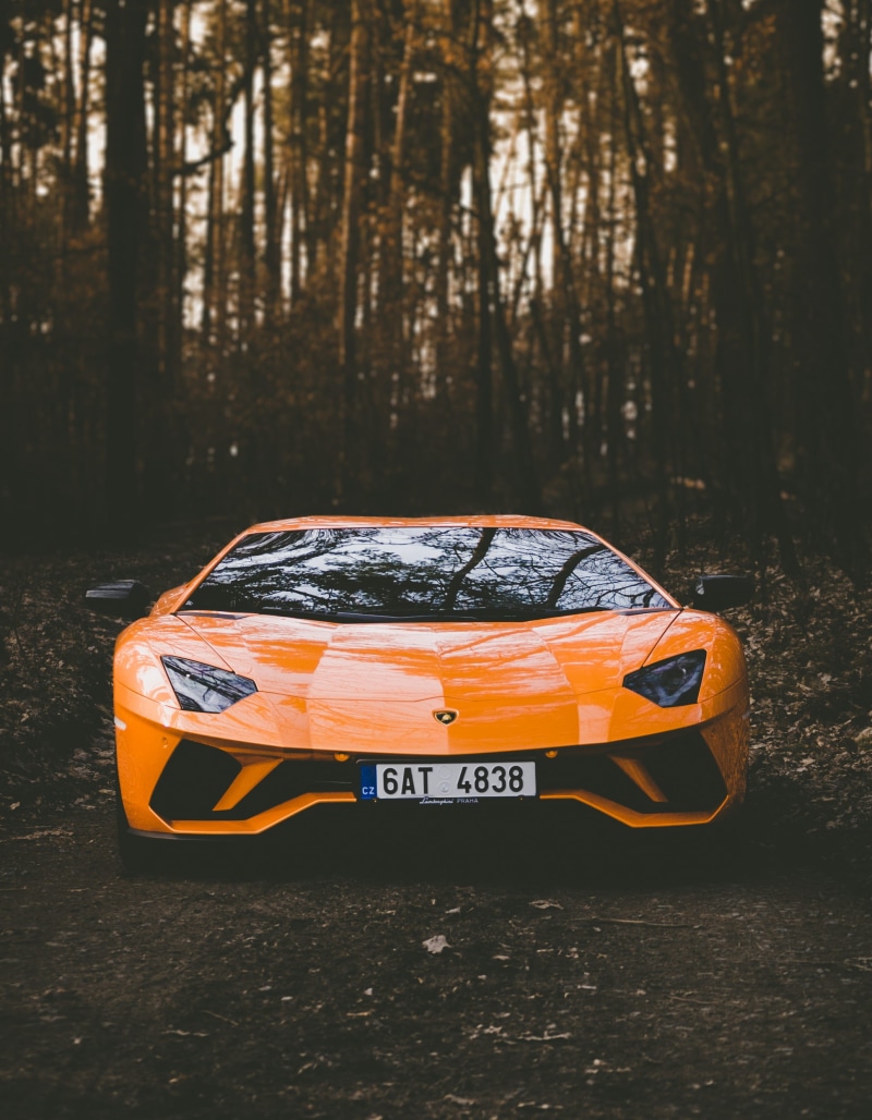 vehicle, travel, toy car, photo, landscape, minimalist, lamborghini, trunk, forest, minimal, 1080P, car, parked, plant, nature, luxury, trees, super car