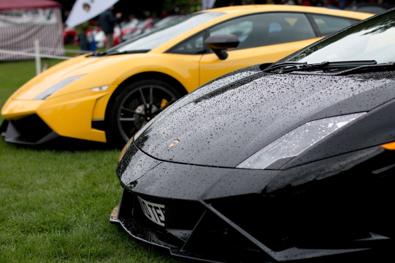 success, automotive, grass, yellow, speed, plant, 5K, fast cars, transportation, desirable, motor vehicle, sports cars, drive, land vehicle, car, italy