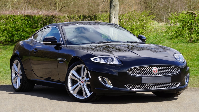 grass, jaguar, no people, retro styled, automobile, headlight, metal, car, black, xkr, fast, nature, pole, jaguar xk, plant, auto, stationary, outdoors