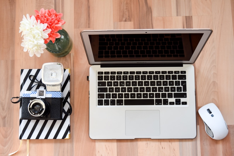 brown, computer keyboard, web design, keyboard, flower, lancer, flowering plant, wireless, mac, silver, beside, office work, keys, mouse, macbook, screen