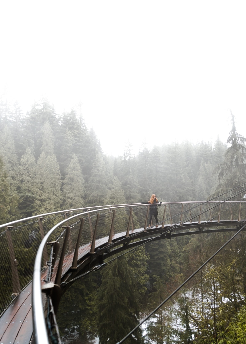 female, day, forest, hand rail, woman, misty, fog, people, motion, summer, adult, walking, 5K, standing, mist, bridge - Man Made Structure, one Person