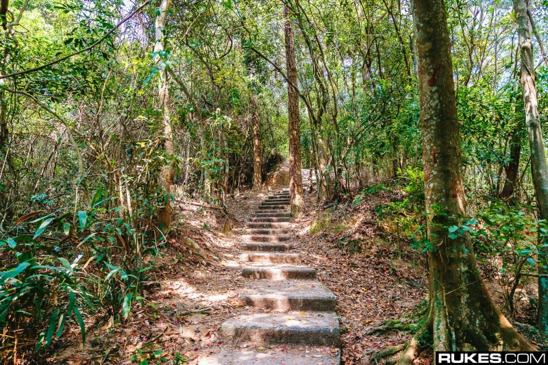 no people, tree, Rukes, Hong Kong, diminishing perspective, forest, scenics - nature, day, photography, woodland, stairway, direction, 1080P, the way forward