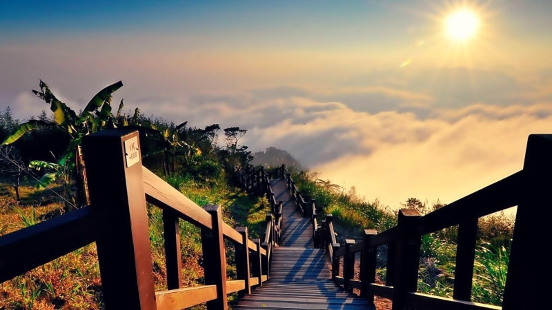 sunlight, clouds, sky, plant, 1080P, heaven, sunrise, national park, yushan national park, dawn, cloud, wooden, taiwan, sun, landscape, stairs, mountain