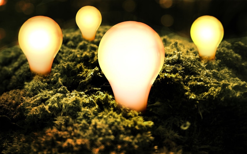 bulbs, macro, lighting Equipment, celebration, grass, light, lighted, egg, light - Natural Phenomenon, close-up, 1080P, outdoors, yellow, orange, group of objects