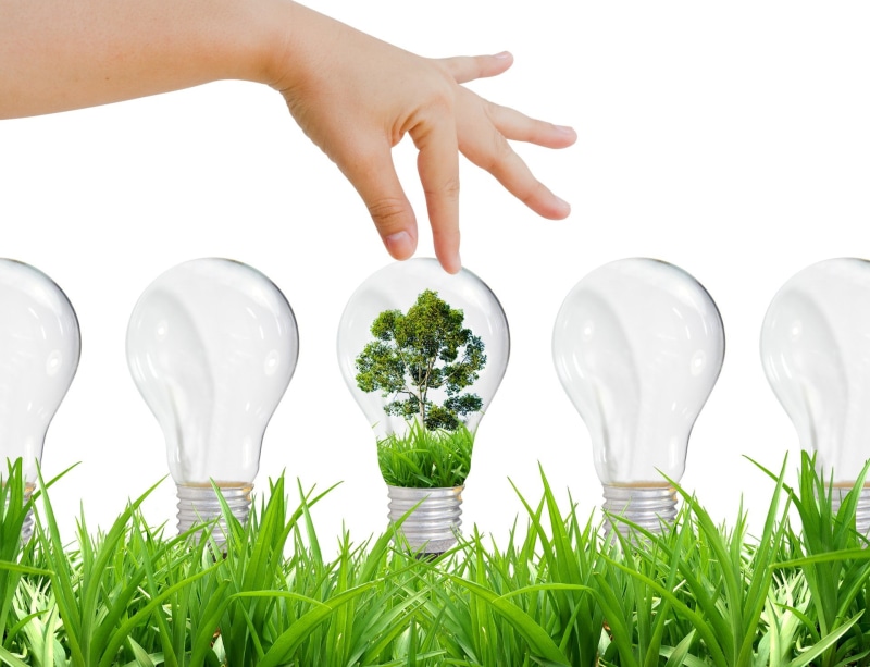 trees, hands, technology, bulb, light, 1080P, design, light bulb, grass
