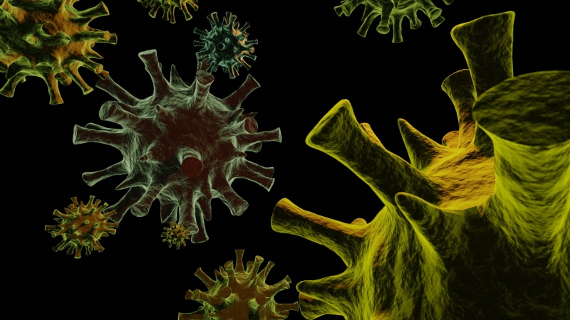 2K, corona virus, covid