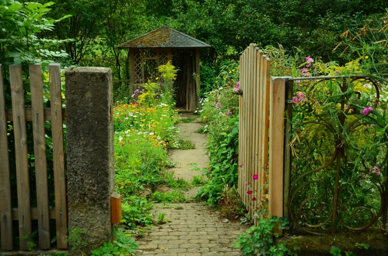 outdoors, plant, wood, entrance, flowers, garden path, fenced, boundary, tranquility, tree, open, growth, blossom, entry, bloom, flower, wood - material