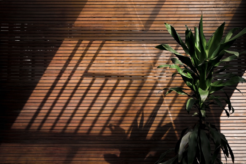day, taipei, texture, still, blinds, built structure, indoors, low angle view, pot, no people, plants, silence, shadow, light and shadow, plant part, leaves