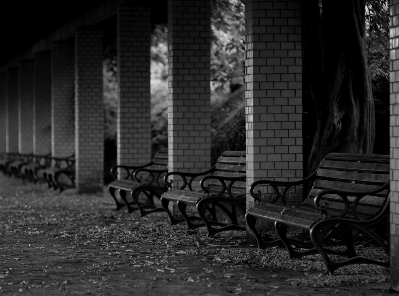 day, outdoors, Autumn, building exterior, bokeh, in a row, selective focus, Wood, takumar, brick wall, bench, seat, built structure, wall, Benches, slatted