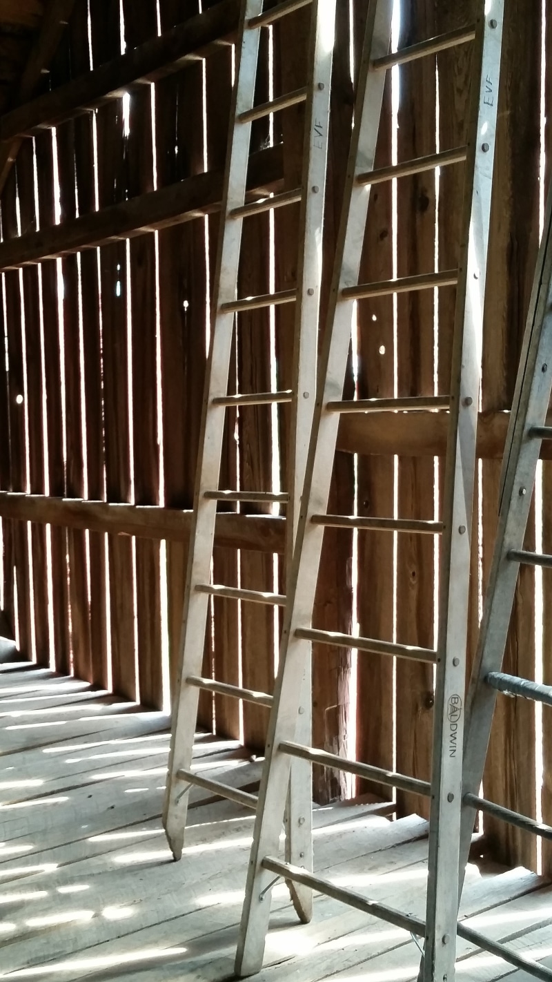 brown, seat, architecture, nature, railing, wooden, empty, built structure, sunlight, old, ladder, country, building, metal, slats, wood, weathered, 5K