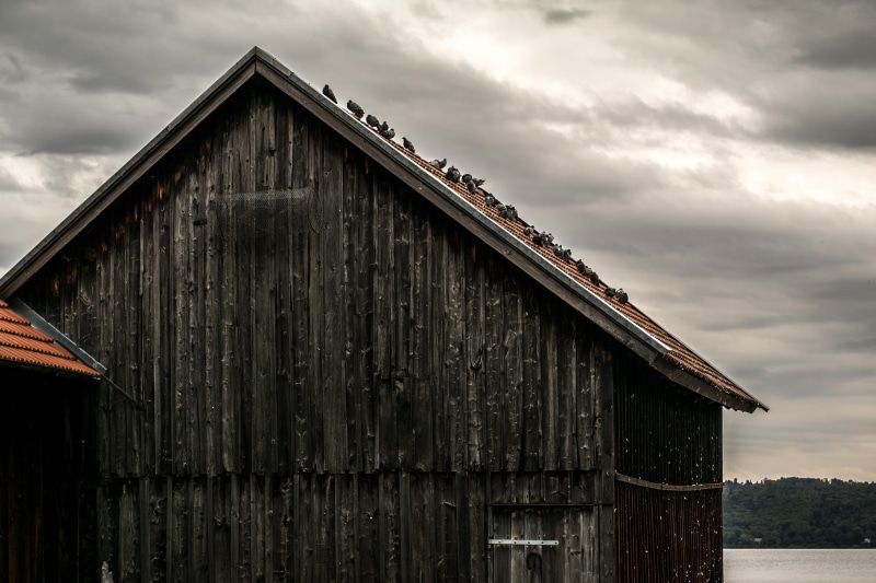 day, wall boards, barn, building exterior, residential district, bavaria, built structure, wooden boards, no people, agricultural building, 5K, tree, house