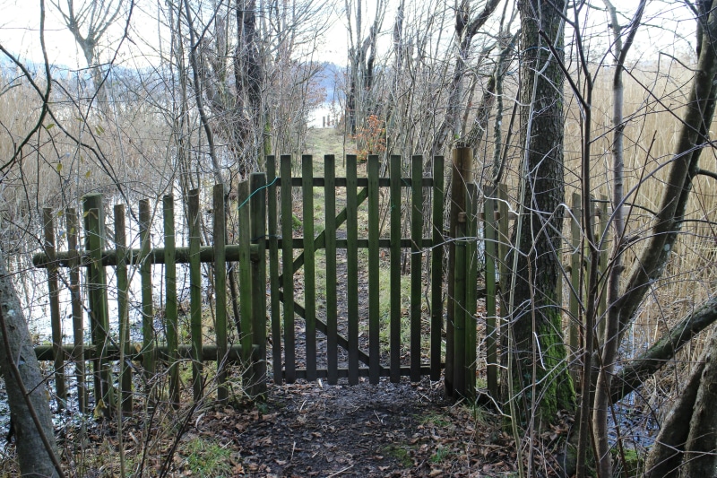 4K, garden, tranquil scene, entry, tranquility, outdoors, built structure, boundary, land, day, goal, slat door, safety, access, wood, bare tree, plant