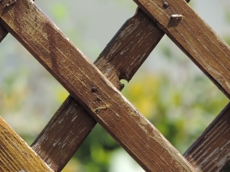wood fence, architecture, wood, day, paling, garden, focus on foreground, garden fence, fence, textured, security, wood - material, summer, connection