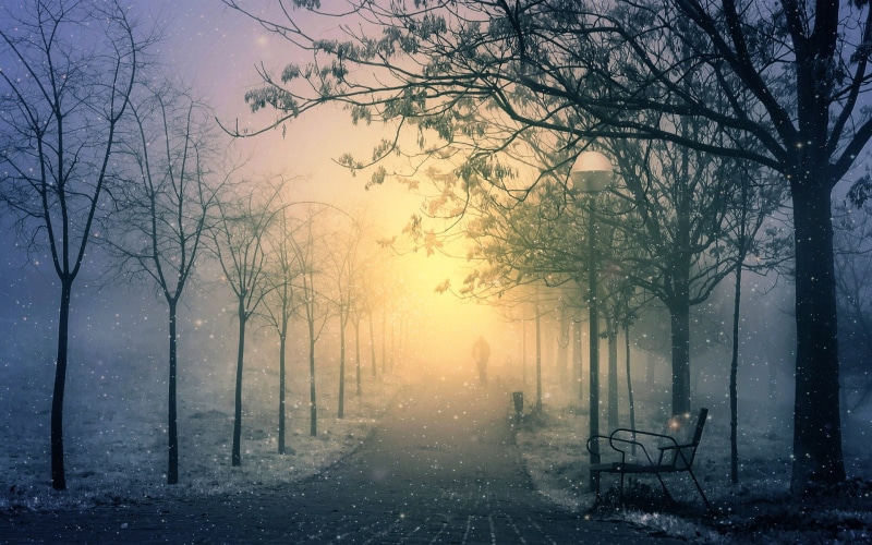 Trees, Path, Winter, 1080P, Morning, Bench, Snow, Lantern, Park