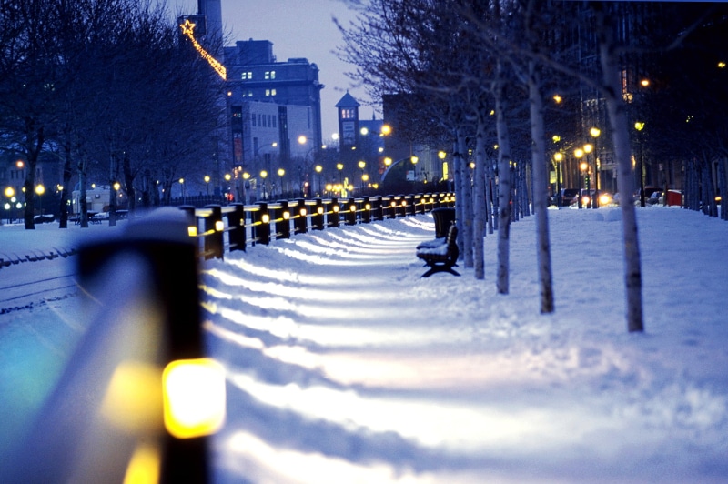 outdoors, cold - Temperature, road, street, green, surface level, dusk, weather, city, urban Scene, bench, street Light, Montreal, season, cityscape, night