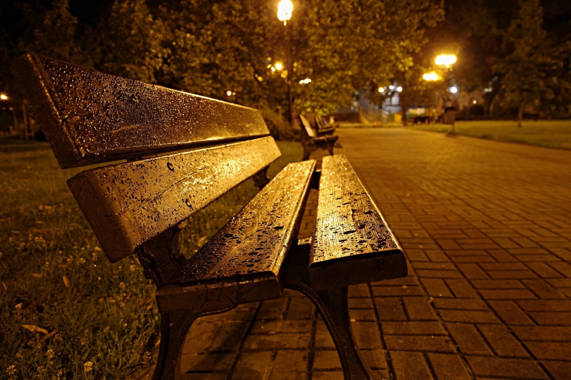 park - man made space, dark, water, footpath, spacer, paving stone, plant, lighting equipment, 5K, wet, outdoors, night, autumn, light, pavements, dusk