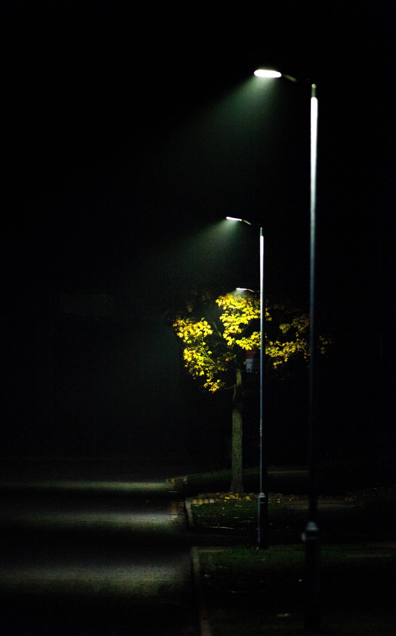outdoor, nature, 5K, autumn, street light, yellow, entrance, lights, glowing, light, illuminated, lighting equipment, light - natural phenomenon, street