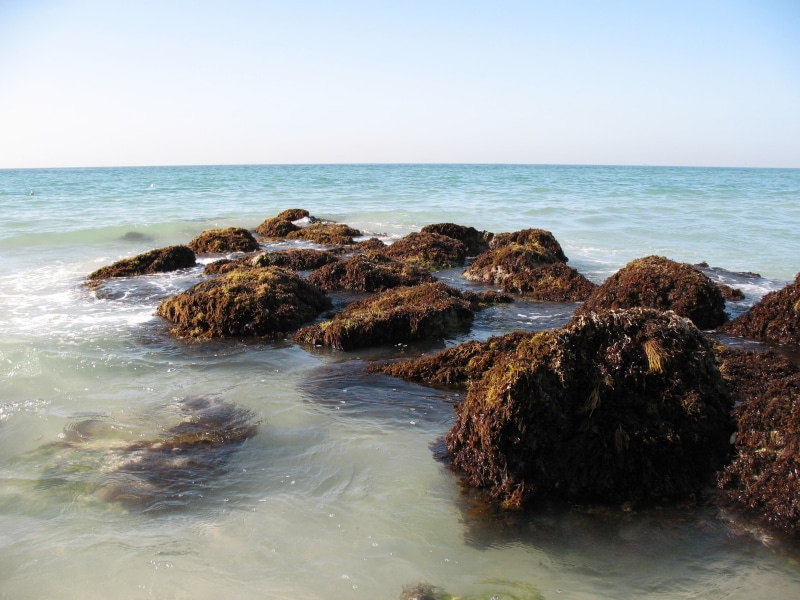 land, tranquility, rock - Object, waters Edge, summer, scenics - nature, day, landscape, water, horizon over water, tranquil scene, vacations, uae, coastline