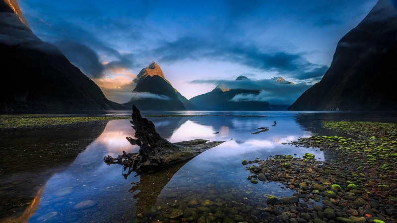 te anau, fjord, environment, national park, beauty in nature, water, lake, new zealand, fiordland national park, tranquil scene, trunk, rock, mountain