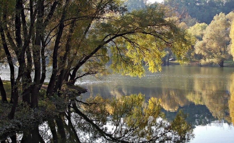1080P, peisaje, foggy, reflection, leaves, paisaje, beautiful, nice, widescreen, picture, autumn, lands, water, photoshop, photo