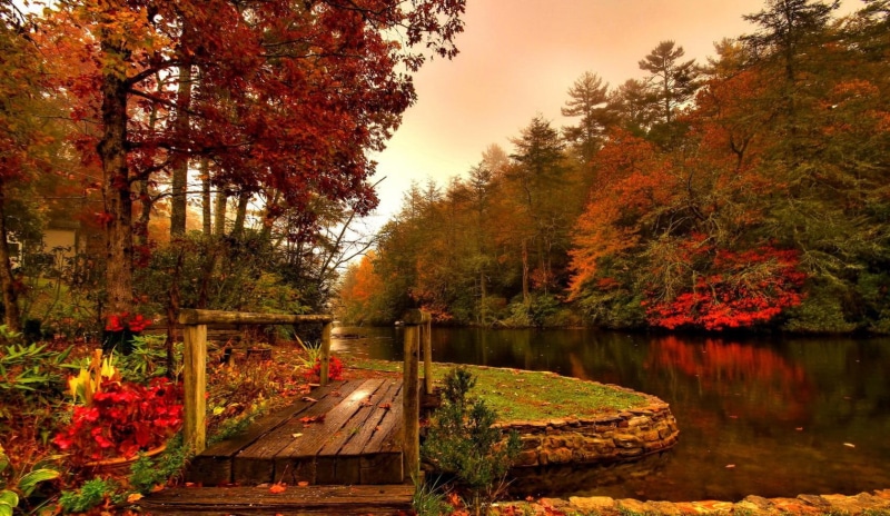 leaves, falling, trees, beautiful, nice, season, water, body, autumn, lovely, fall, surrounded, river, colors, calm, 720P, forest, foliage