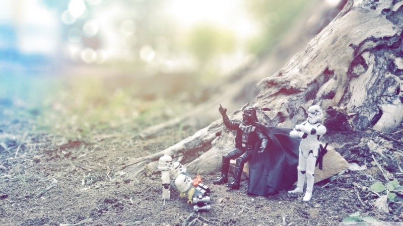 rock - object, stormtrooper, animal wildlife, close-up, selective focus, dark, outdoors, focus on foreground, mammal, wars, no people, animal, animals in the wild
