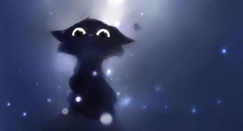 1080P, paws, kitty, kitten, cat, apofiss, animals, cute, bubbles, black, judge