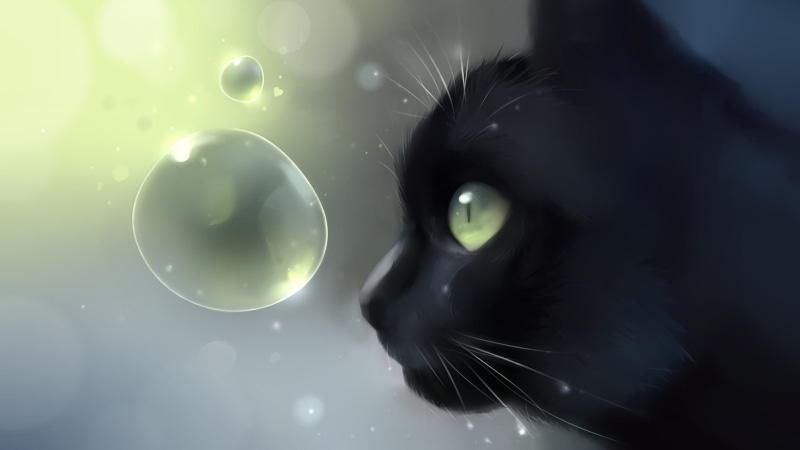 portrait, cap, 1080P, animal body part, animal eye, animals, bubble, bubbles, black, animal head, artwork, indoors, domestic cat, vertebrate, pets, animal