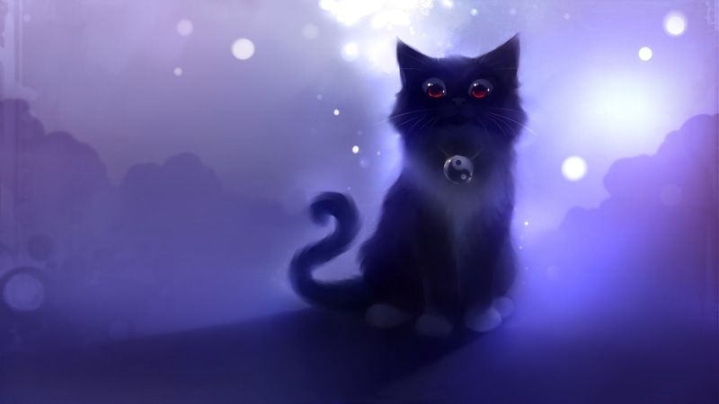 Apofiss, animals, 1080P, cat, bubbles