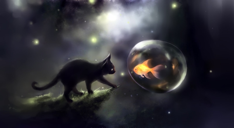 Bubbles, Kitten, black cat, Painting, Black, animal wildlife, star - space, mammal, one animal, dark, 1080P, astronomy, Kitty, digital composite, Origami