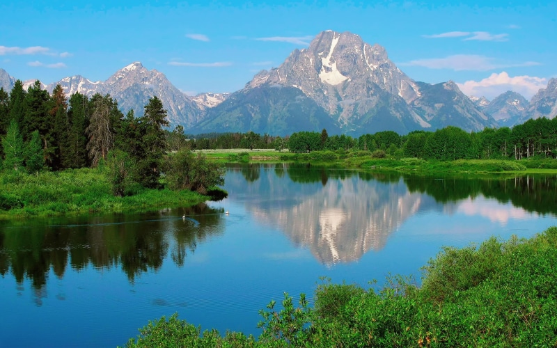 USA, park, duck, Mount Moran, Grand Teton National Park, reflection, spring, 1080P, Wyoming, teton, Nature, grand, water, summer, national, forest