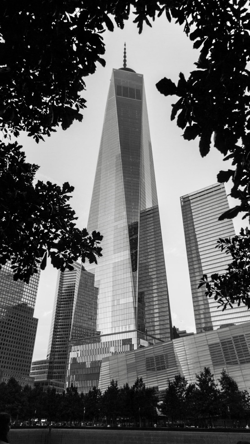 building exterior, leaves, city, portrait display, outdoors, no people, building, trees, modern, One World Trade Center, financial district, architecture