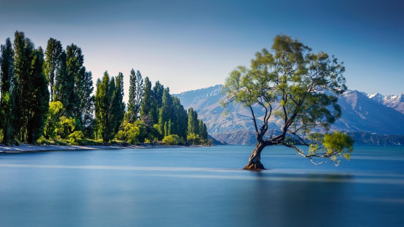 Lake Wanaka, sky, 1080P, trees, lake, water, landscape, mountains, nature, New Zealand