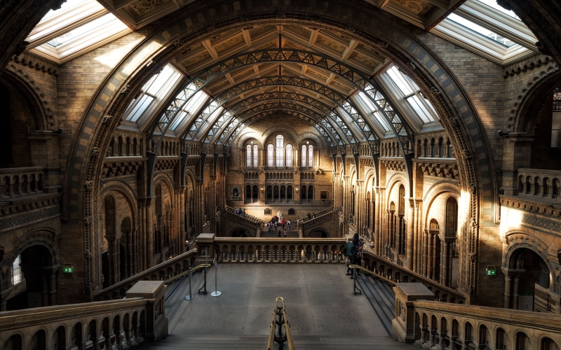 infrastructure, empty, incidental people, spirituality, tourist spot, women, natural history museum, indoors, daytime, tourism, museum, interior, day, real people