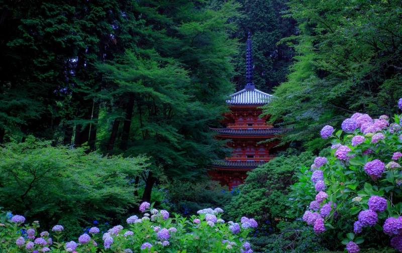 scenics, tree, pavilion, mountain, buddhism, no people, tranquil Scene, plant, shrine, green Color, cultures, landscape, forest, growth, temple - Building