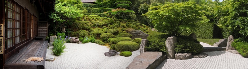 ultrawide, calm, dual monitors, dual display, garden, wide image, Japan, peaceful, 4K, nature